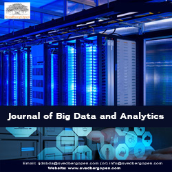 Cover image of the journal Journal of Big Data and Analytics